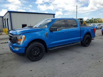 2021 Ford F-150 1FTEW1CP9MFA56959 Lot 53441646