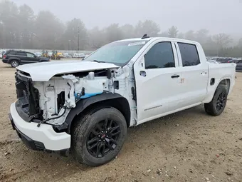 2023 GMC Sierra 1500 1GTPUAEK2PZ217235 Lot 49800296