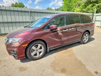 2019 Honda Odyssey 5FNRL6H54KB133169 Lot 48311146