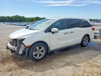 2019 Honda Odyssey 5FNRL6H75KB102353 Lot 53059726