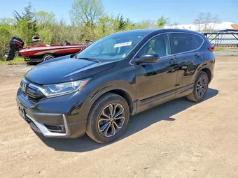 2020 Honda CR-V 2HKRW2H82LH600098 Lot 52329216