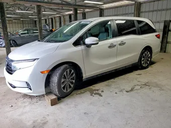 2024 Honda Odyssey 5FNRL6H69RB022202 Lot 52466526