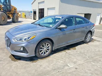 2019 Hyundai Sonata 5NPE24AF2KH796427 Lot 54666016