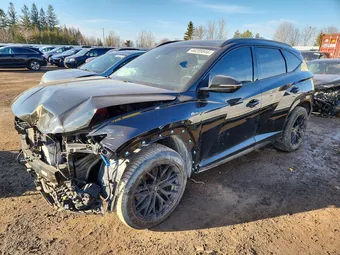 2024 Hyundai Tucson KM8JCCD1XRU144589 Lot 46289846