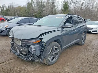 2023 Hyundai Tucson KM8JCCA15PU114319 Lot 48586576
