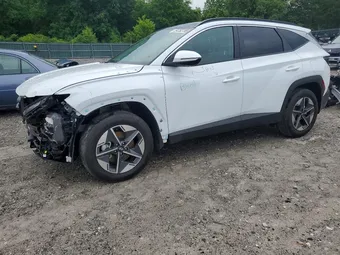 2025 Hyundai Tucson KM8JCDD10SU362603 Lot 54752796