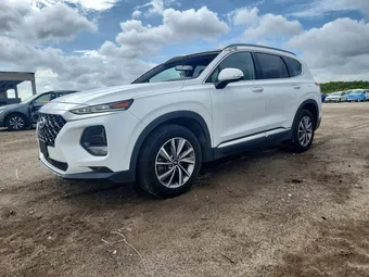 2019 Hyundai Santa Fe 5NMS5CADXKH018070 Lot 54590316
