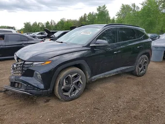 2023 Hyundai Tucson KM8JCCA13PU117798 Lot 54404526