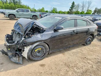 2022 Kia Forte 3KPF54AD9NE466917 Lot 53541226