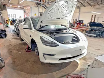 2021 Tesla Model 3 5YJ3E1EA0MF026952 Lot 54638076