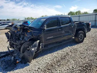 2023 Toyota Tacoma 3TMCZ5AN8PM550404 Lot 52740596