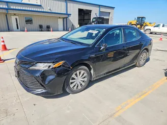 2019 Toyota Camry 4T1B31HK2KU515990 Lot 50990506
