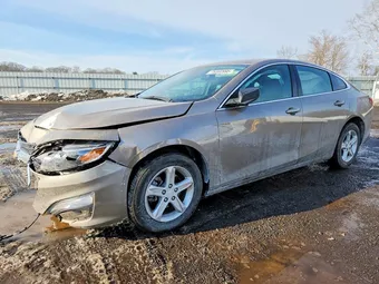 2023 Chevrolet Malibu 1G1ZB5ST3PF235448 Lot 76382995