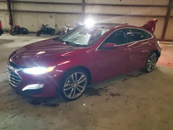 2019 Chevrolet Malibu 1G1ZE5SX3KF123817 Lot 52581666