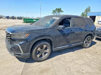 2024 Honda Pilot 5FNYG1H43RB020804 Lot 50593066