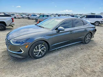 2023 Hyundai Sonata KMHL24JJ5PA076464 Lot 54545416
