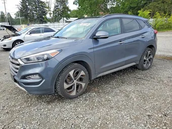 2017 Hyundai Tucson KM8J3CA22HU366491 Lot 53611136