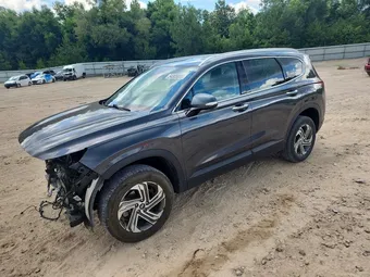 2023 Hyundai Santa Fe 5NMS2DAJ9PH545478 Lot 54305066