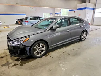2019 Hyundai Sonata 5NPE34AF8KH816788 Lot 53166636