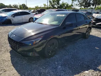 2023 Hyundai Elantra 5NPLM4AG9PH103676 Lot 51987836