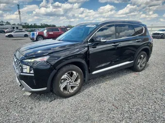 2023 Hyundai Santa Fe 5NMS34AJ0PH574767 Lot 51418036