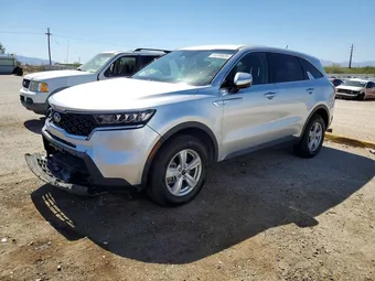 2021 Kia Sorento 5XYRGDLC0MG017297 Lot 55395656