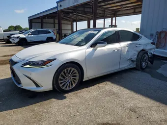 2019 Lexus ES 58ABZ1B15KU029522