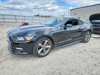 2016 Ford Mustang 1FA6P8AM6G5335627 Lot 52484716