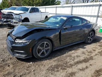 2024 Ford Mustang 1FA6P8TH2R5139834 Lot 48228416
