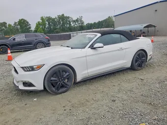 2015 Ford Mustang 1FATP8UH0F5429339 Lot 56819876