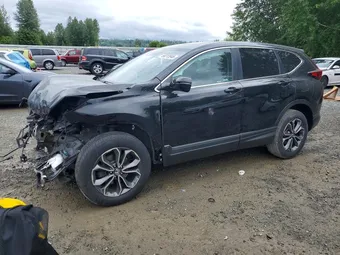 2020 Honda CR-V 5J6RW2H57LA007375 Lot 56313946