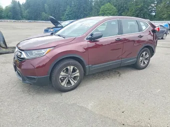 2019 Honda CR-V 5J6RW6H31KL005999 Lot 55997076