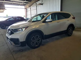 2020 Honda CR-V 7FARW1H81LE030379 Lot 54854076