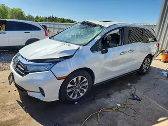 2022 Honda Odyssey 5FNRL6H77NB006342