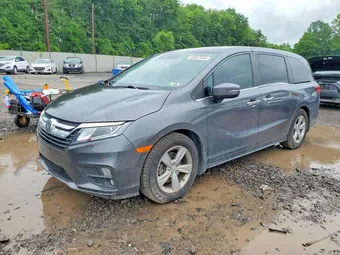 2019 Honda Odyssey 5FNRL6H73KB124755 Lot 58587046