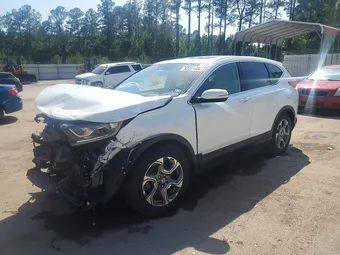 2019 Honda CR-V 2HKRW1H53KH511834 Lot 52231406
