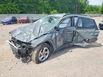 2024 Hyundai Tucson 5NMJBCDEXRH329484