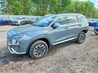 2023 Hyundai Santa Fe 5NMS2DA14PH018254 Lot 52134106
