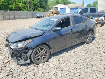 2019 Kia Forte 3KPF34AD4KE137107 Lot 55410236