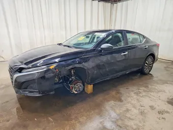 2025 Nissan Altima 1N4BL4DV1SN350231 Lot 50362616