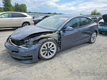 2023 Tesla Model 3 5YJ3E1EB6PF636562 Lot 55469756