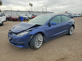 2023 Tesla Model 3 5YJ3E1EA4PF447318 Lot 49173176