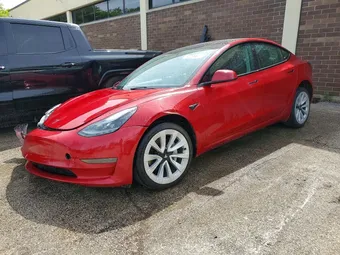 2023 Tesla Model 3 5YJ3E1EA3PF437511 Lot 54452786