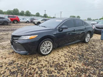 2019 Toyota Camry 4T1B21HK7KU518757 Lot 52443456