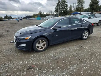 2019 Chevrolet Malibu 1G1ZB5ST6KF223755 Lot 50162956