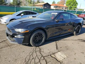 2019 Ford Mustang 1FA6P8TH1K5195057 Lot 53260046