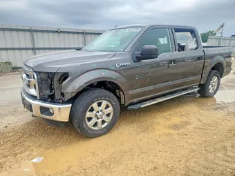 2016 Ford F-150 1FTEW1EG9GKD46353 Lot 56445756