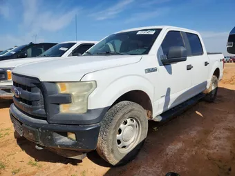 2015 Ford F-150 1FTEW1EG8FKD13035 Lot 54918146