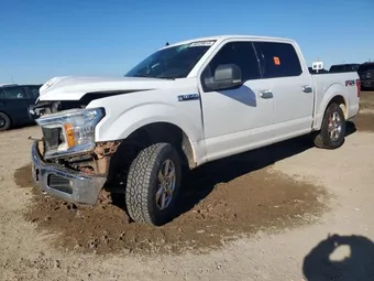 2019 Ford F-150 1FTEW1E52KKE91452 Lot 52393346