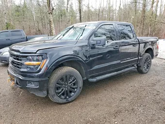 2025 Ford F-150 1FTEW3LP3SKF25947 Lot 49274966